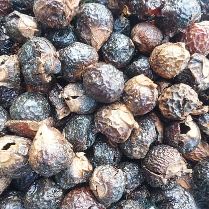 Soap nuts